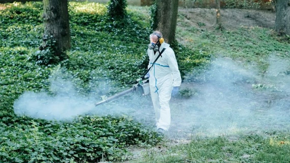 Lublin. Komarów powinno być mniej. Miasto zabiera się za opryski