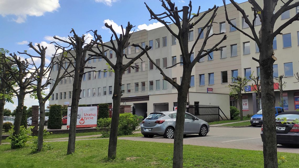 Lublin: Komu przeszkadza zieleń? Oszpecono kolejne drzewa Lublin: Komu przeszkadza zieleń? Oszpecono kolejne drzewa