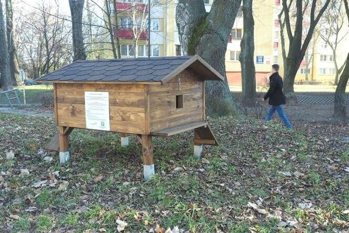 Lublin: Koty „stanowią dobro ogólnonarodowe”. Urząd stawia im domki Lublin: Koty „stanowią dobro ogólnonarodowe”. Urząd stawia im domki