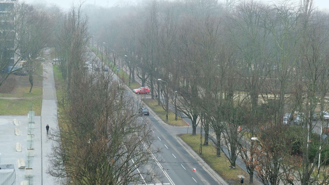 Lublin: Kto i za ile rozbuduje Al. Racławickie? Wycinki realne, jak nigdy wcześniej