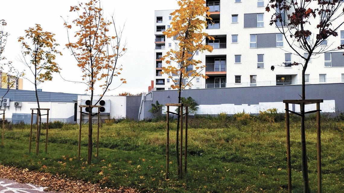 Lublin: Lidl przegrał w sądzie. "Znaczący dyskomfort oraz uciążliwość” Lublin: Lidl przegrał w sądzie. "Znaczący dyskomfort oraz uciążliwość”