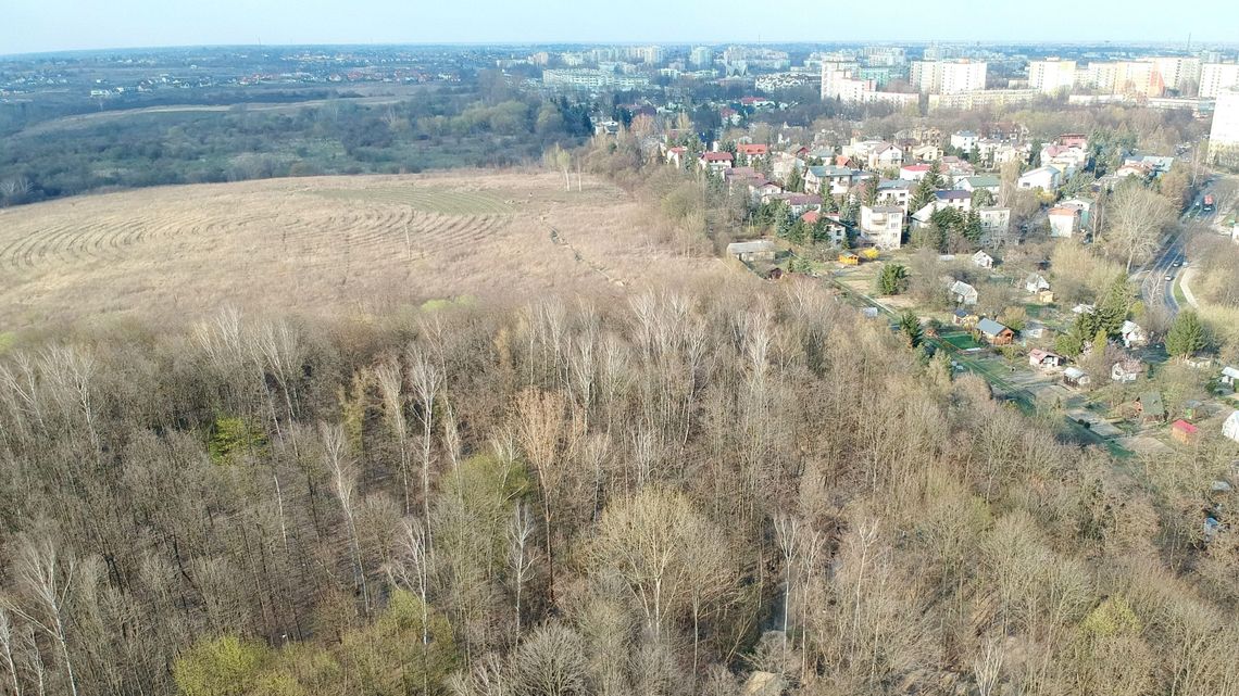 Lublin: Losy górek czechowskich w rękach Krzysztofa Żuka. Co można teraz tu robić? Lublin: Losy górek czechowskich w rękach Krzysztofa Żuka. Co można teraz tu robić?