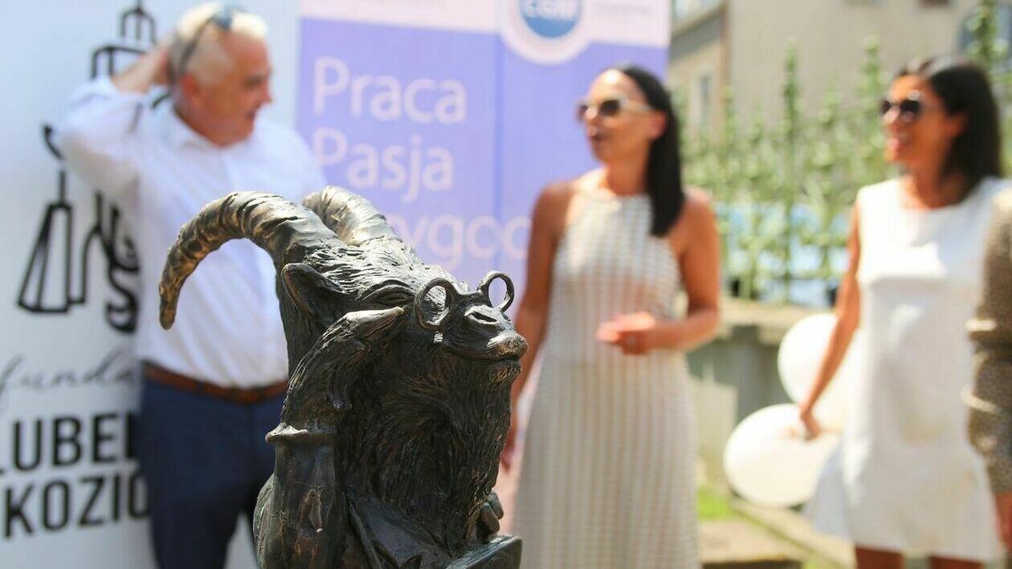 Lublin ma nowego mieszkańca. Staś ukrył się koło szpitala