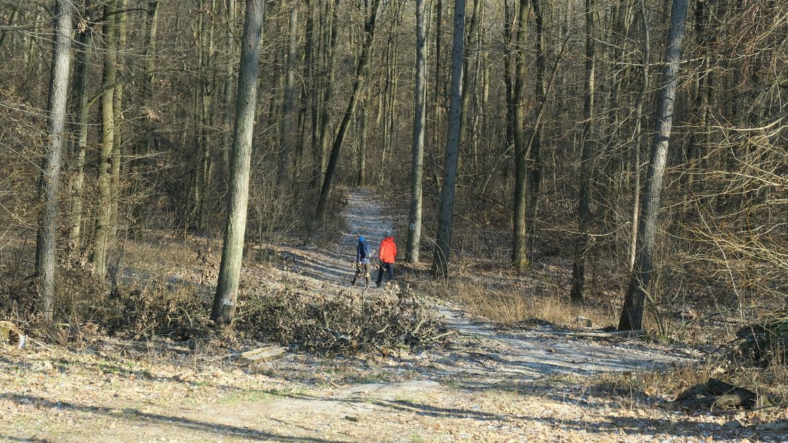 Lublin ma prawdziwy skarb. Czy zdołamy go ochronić?