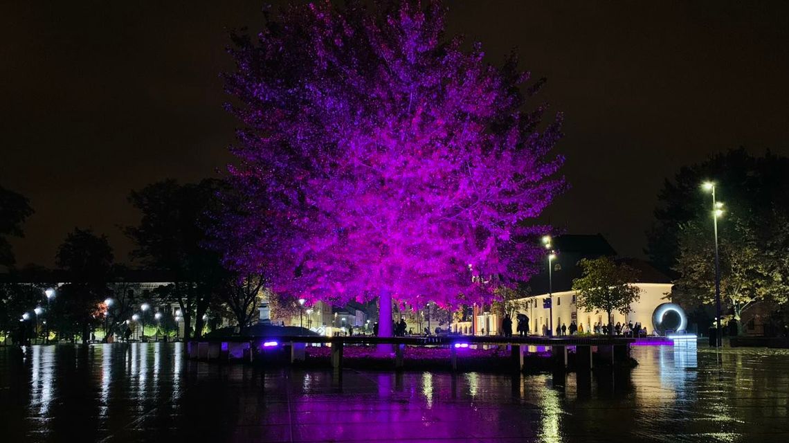 Lublin ma świecić na różowo. Jest ważny powód Lublin ma świecić na różowo. Jest ważny powód