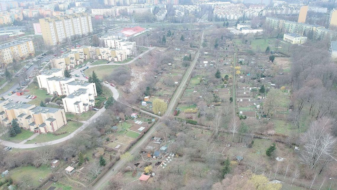 Lublin. Miasto może stracić część wąwozu między osiedlem LSM a Czubami