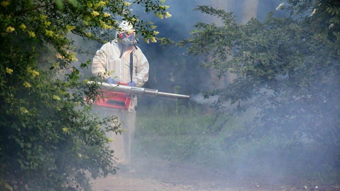 Lublin: Miasto zwalcza komary. Na początek park Bronowicki [zdjęcia]