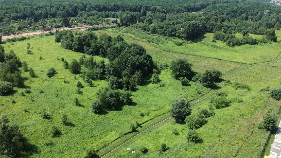 Lublin. Miejscy radni chcą ochrony wąwozu przy lesie Lublin. Miejscy radni chcą ochrony wąwozu przy lesie