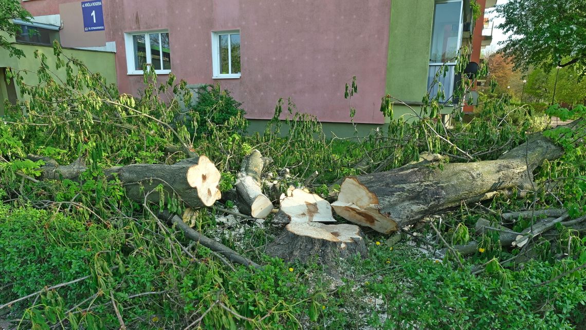 Lublin: Mieszkańcom Czechowa żal wyciętych drzew. "Jestem oburzona" [zdjęcia]