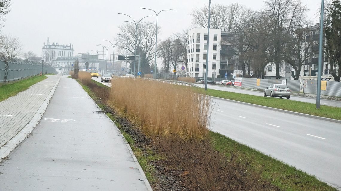 Lublin: Mieszkańcy chcą więcej zieleni przy otwartej niedawno ulicy. "Przed budową rosły tam wielkie drzewa"