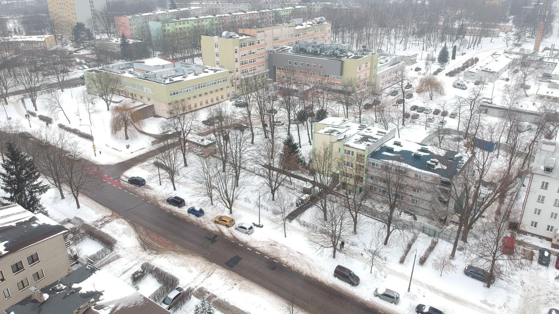 Lublin. Mieszkańcy kolejnej dzielnicy bronią drzew