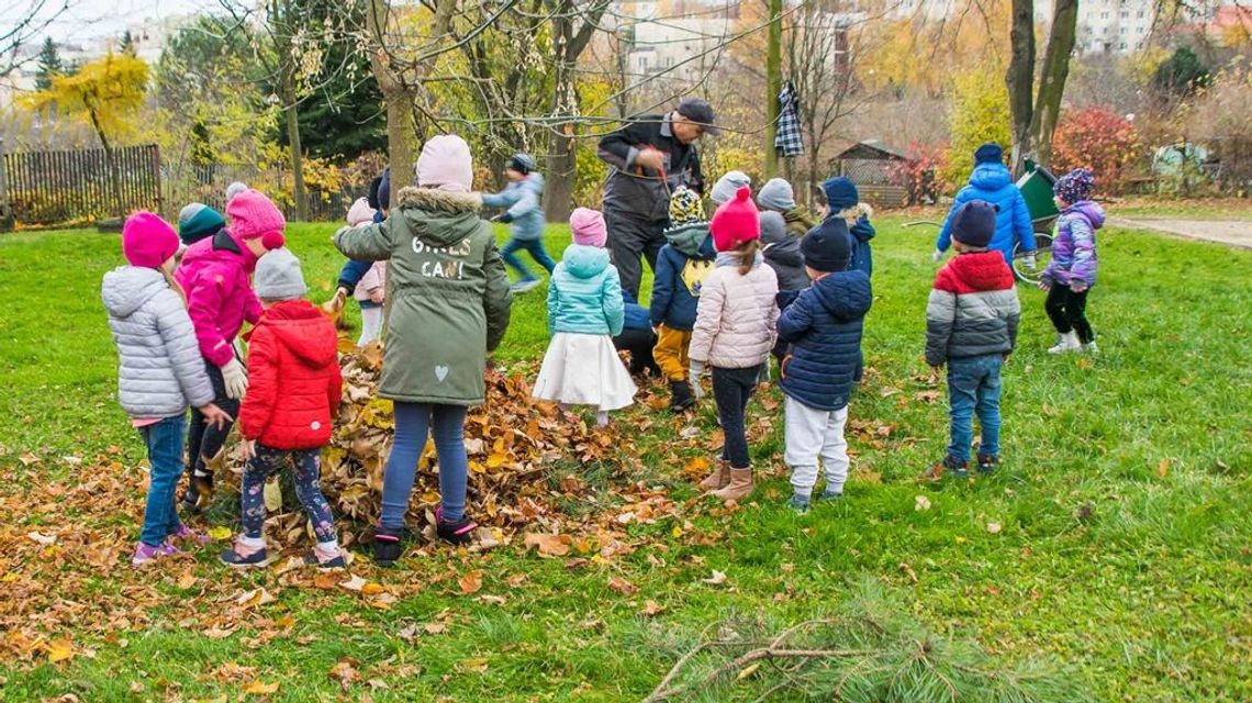Lublin. Możesz pomóc jeżom