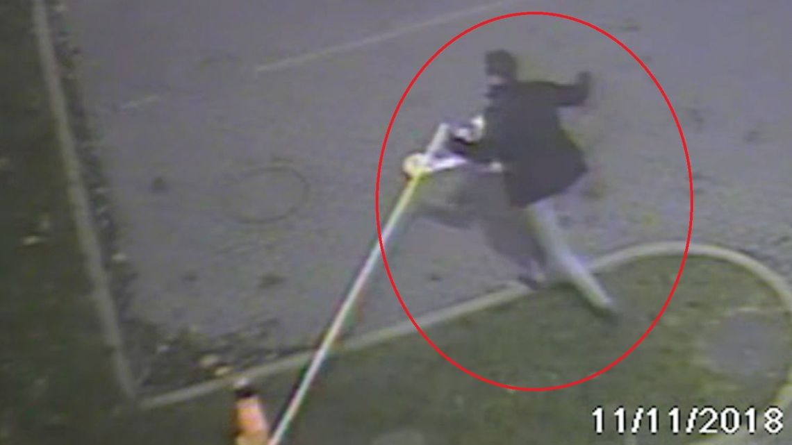 Lublin: Nad ranem ogarnęła go żądza destrukcji. Świetnie się bawił, teraz będzie sławny [wideo]