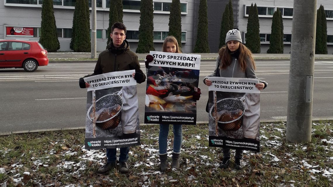 Lublin: Nie chcą sprzedaży żywych ryb. Protestują przed marketami Lublin: Nie chcą sprzedaży żywych ryb. Protestują przed marketami