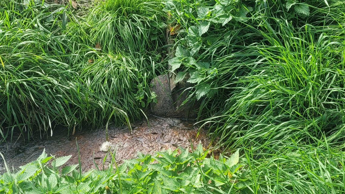 Lublin. Nie czytaj przy jedzeniu. Ohydne odkrycie strażników miejskich