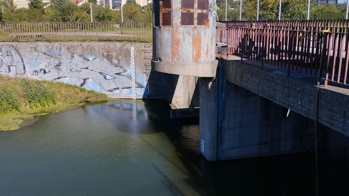 Lublin. Niespokojnie nad Bystrzycą