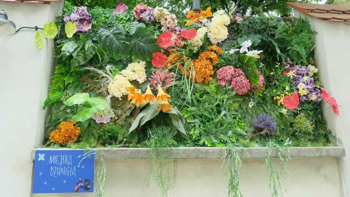 Lublin: Nowe atrakcje Nocy Kultury. Można trafić na "Miejską dżunglę" [zdjęcia]