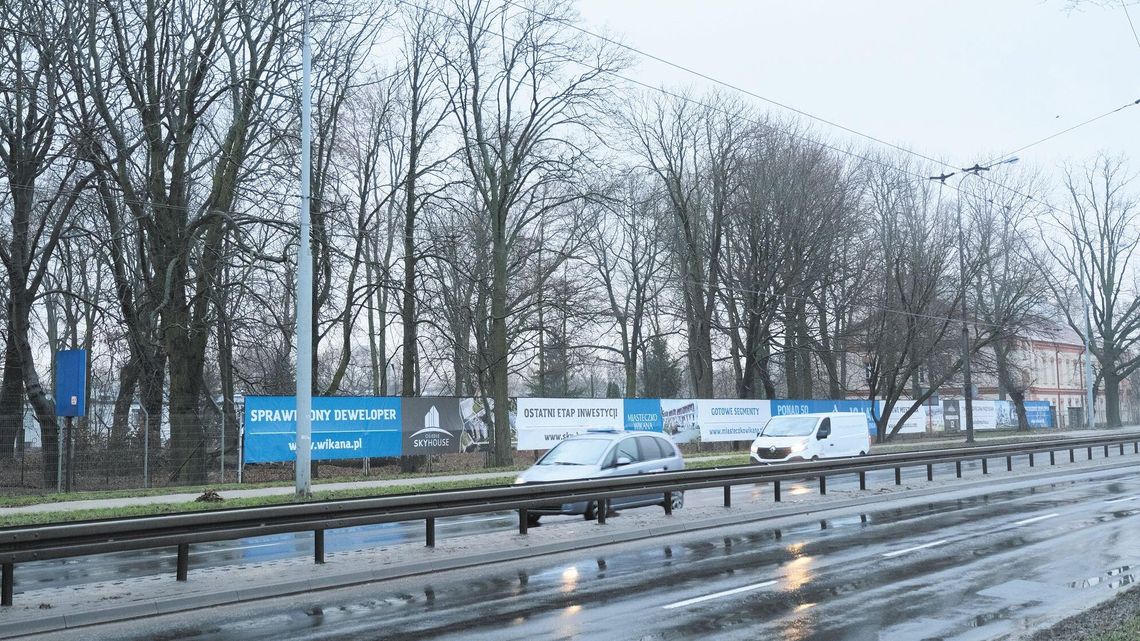 Lublin: Nowe bloki zamiast drzew. Deweloper dostał zgodę na zniszczenie gniazd chronionych ptaków
