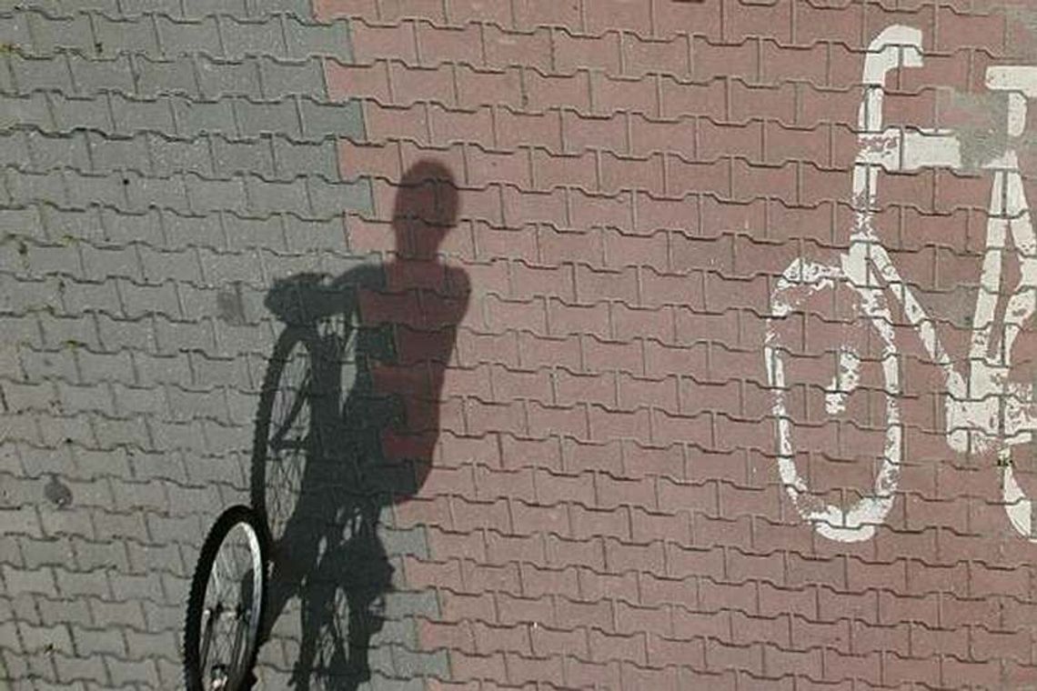 Lublin: Nowe ławki na ścieżce rowerowej wzdłuż Bystrzycy