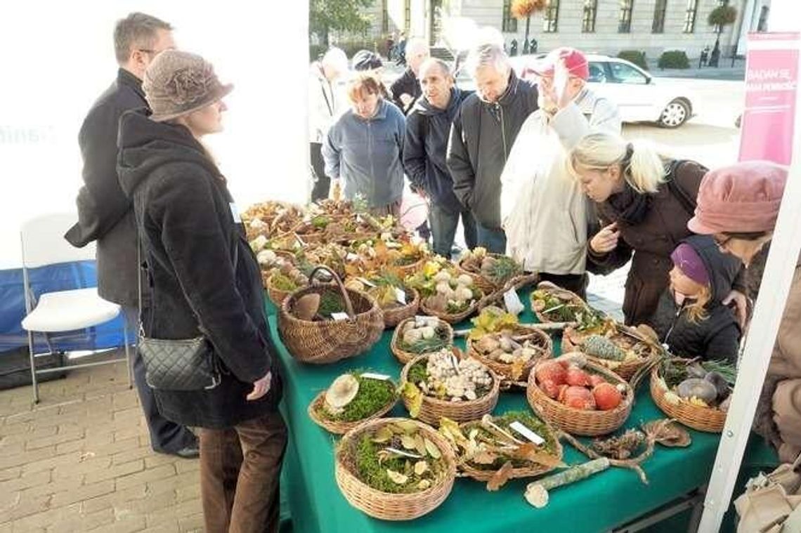 Lublin: O zdrowiu i grzybach na placu Litewskim Lublin: O zdrowiu i grzybach na placu Litewskim