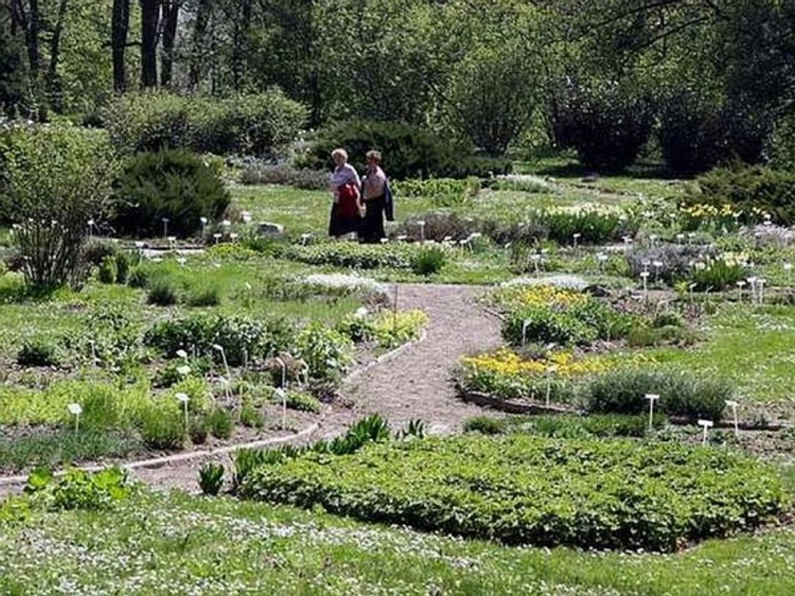 Lublin: Ogród Botaniczny czynny od soboty Lublin: Ogród Botaniczny czynny od soboty