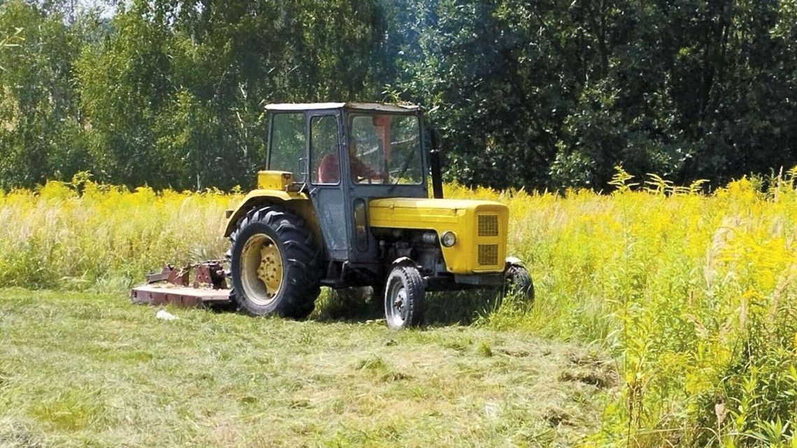 Lublin. Ogrodnicy koszą, mieszkańcy krytykują Lublin. Ogrodnicy koszą, mieszkańcy krytykują