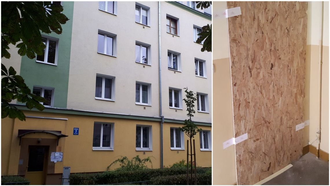 Lublin: Opiekun zmarł, pies żywił się ciałem. Są wstępne wyniki sekcji zwłok Lublin: Opiekun zmarł, pies żywił się ciałem. Są wstępne wyniki sekcji zwłok