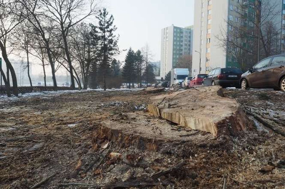 Lublin: Parking zamiast drzew przy ul. Tumidajskiego
