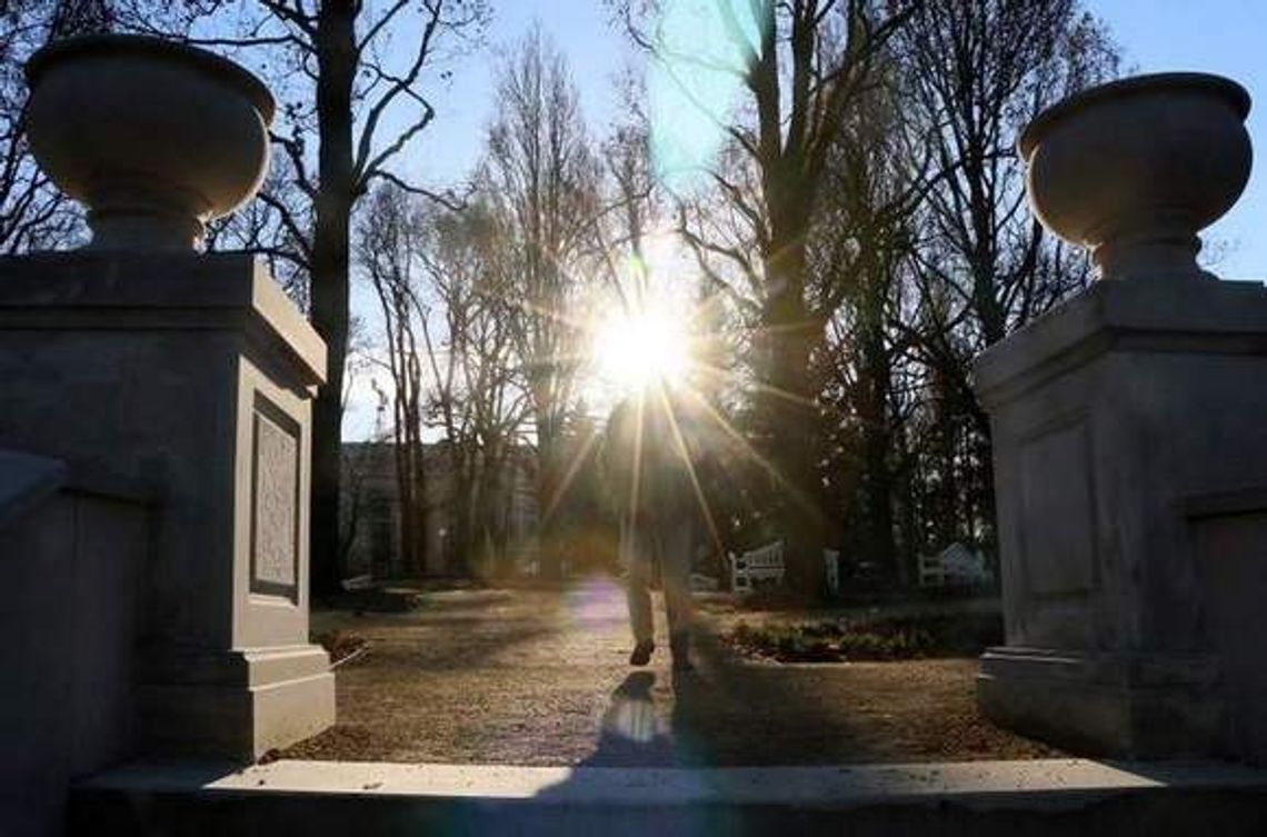 Lublin: Pawie w Ogrodzie Saskim już niedługo