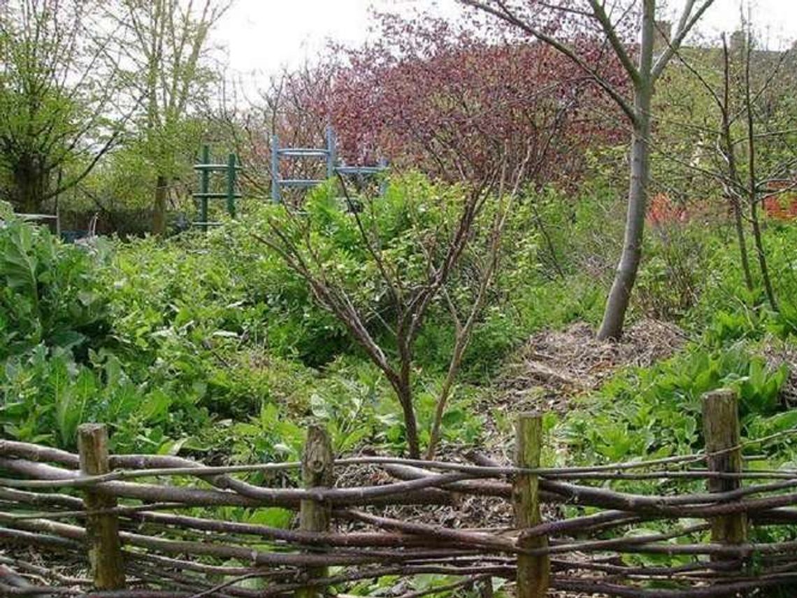 Lublin: Permakultura w mieście - wiosenne spotkanie