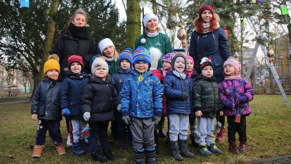 Lublin: Piękna osiedlowa tradycja. Mieszkańcy LSM ubrali choinkę [zdjęcia]