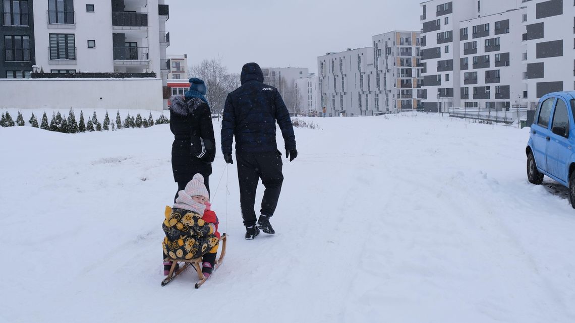 Lublin. Planują nową drogę. Połowa drzew do wycięcia