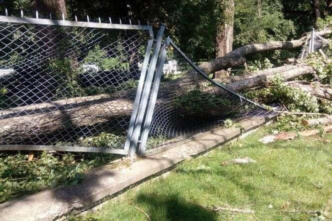 Lublin po burzy: ucierpiało 80 proc. drzew w Ogrodzie Saskim. Kiedy go otworzą?