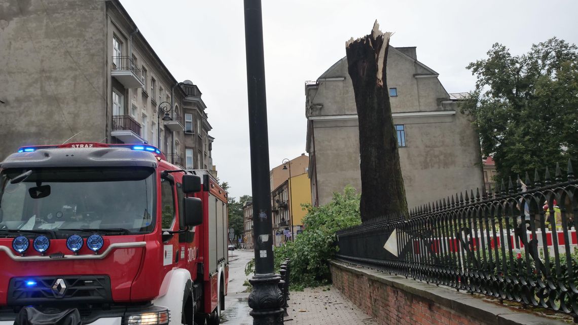 Lublin po nawałnicy. Kilkadziesiąt połamanych drzew, zniszczona sygnalizacja świetlna