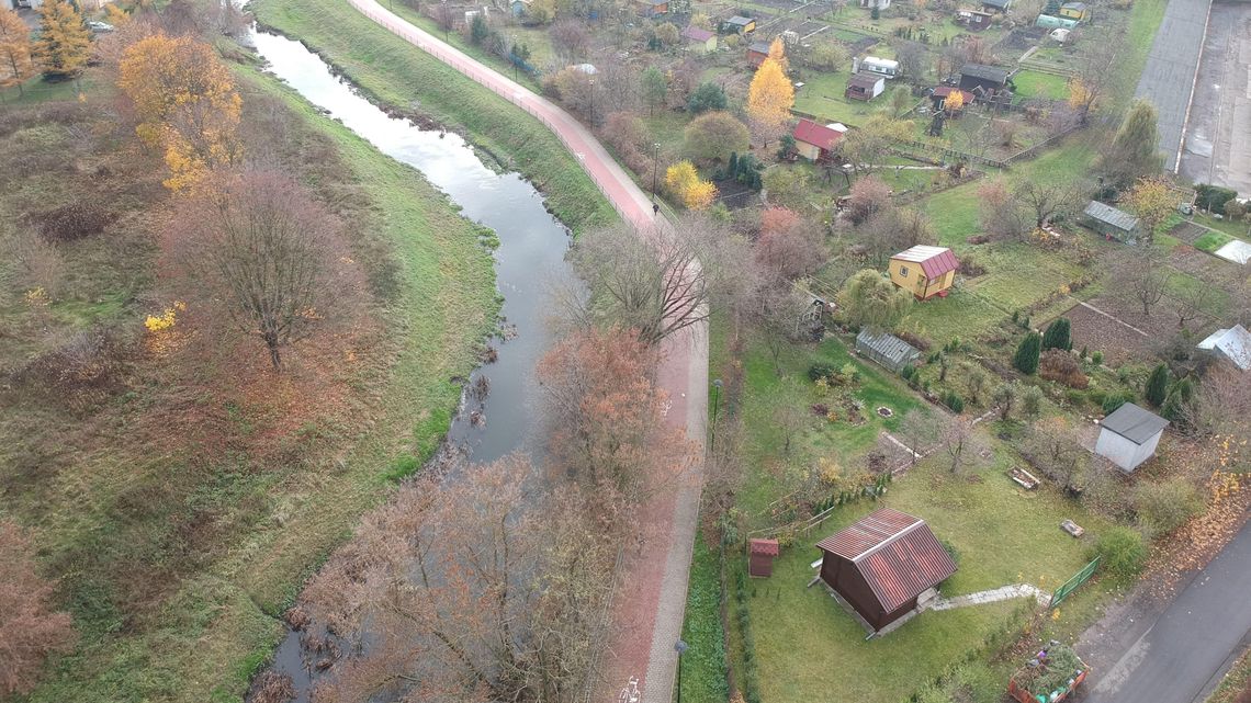 Lublin podzielił pieniądze dla działkowców. Kto dostał najwięcej?