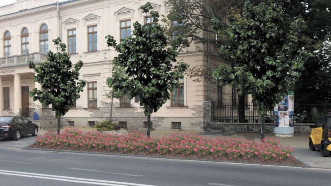 Lublin: Posadzą mniej krzewów Lublin: Posadzą mniej krzewów