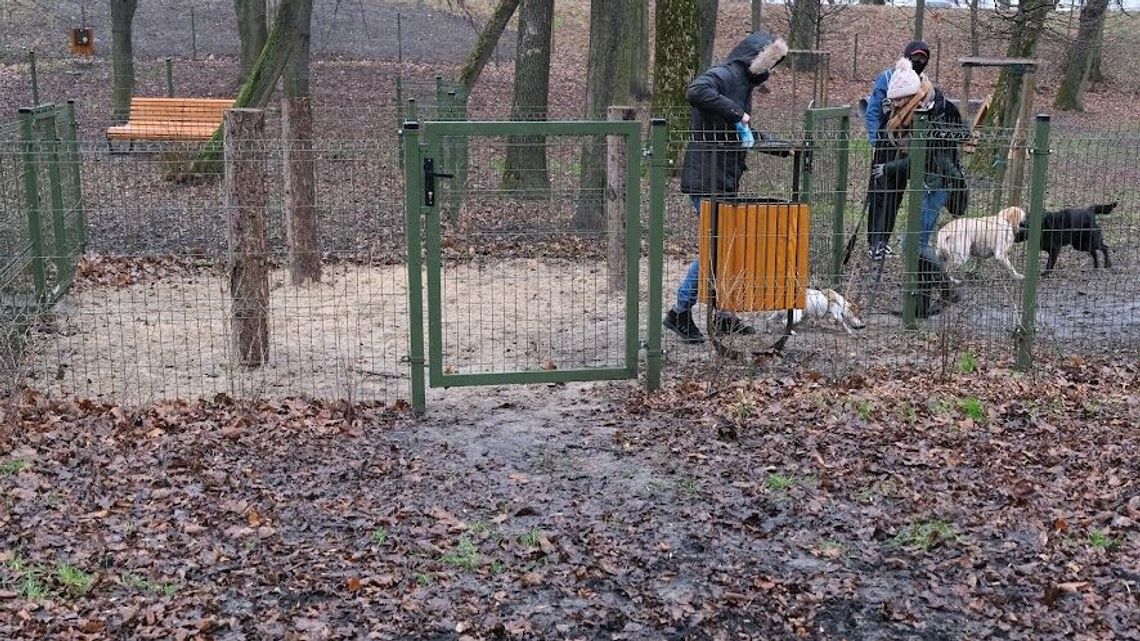 Lublin. Problem z wybiegiem dla psów w parku Ludowym. Jest zamknięty