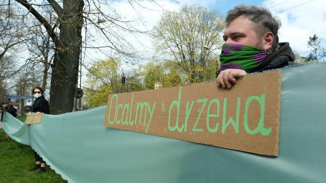 Lublin: Protest obrońców drzew. Mówią "nie" wycince na Al. Racławickich, ul. Lipowej i ul. Poniatowskiego [zdjęcia]