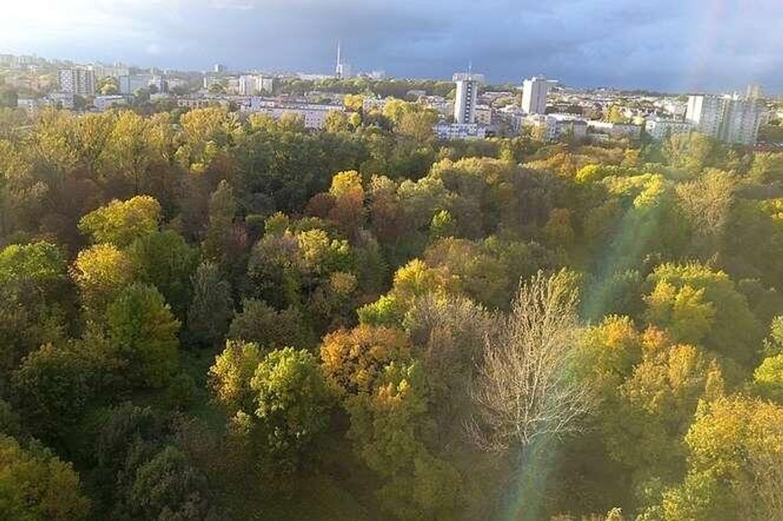 Lublin: Przedłuża się przetarg na odnowę parku Ludowego [zobacz projekt]