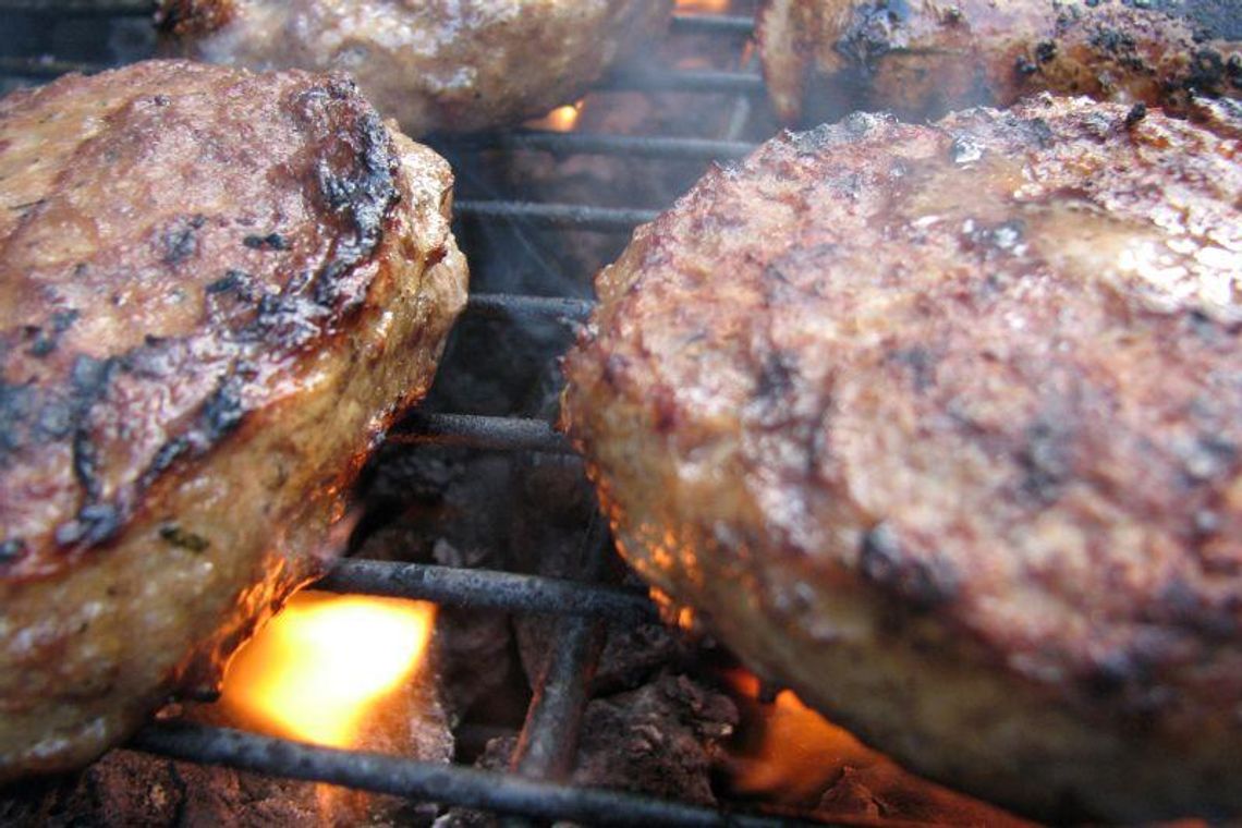 Lublin: Publiczny grill powstanie koło Czerniejówki Lublin: Publiczny grill powstanie koło Czerniejówki