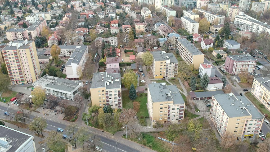 Lublin: Radna prosi o zajęcie się drzewami na tym osiedlu. Zagrażają mieszkańcom? Lublin: Radna prosi o zajęcie się drzewami na tym osiedlu. Zagrażają mieszkańcom?