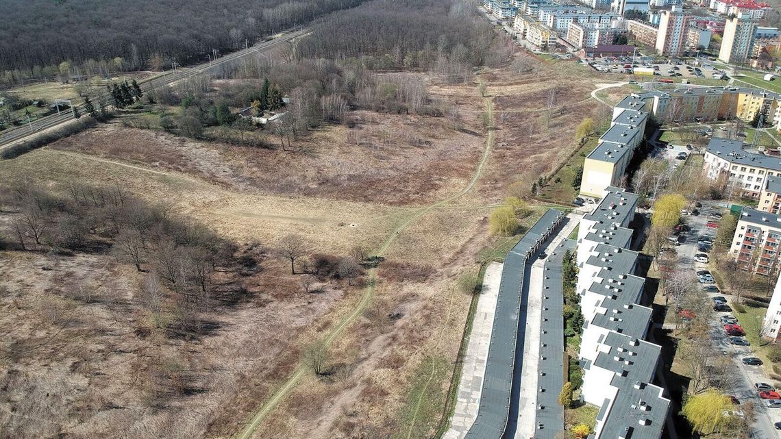Lublin. Ratusz blokuje budowę w wąwozie Lublin. Ratusz blokuje budowę w wąwozie