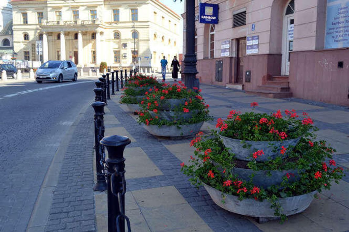 Lublin: Rośliny ozdobią kolejnych pięć miejsc