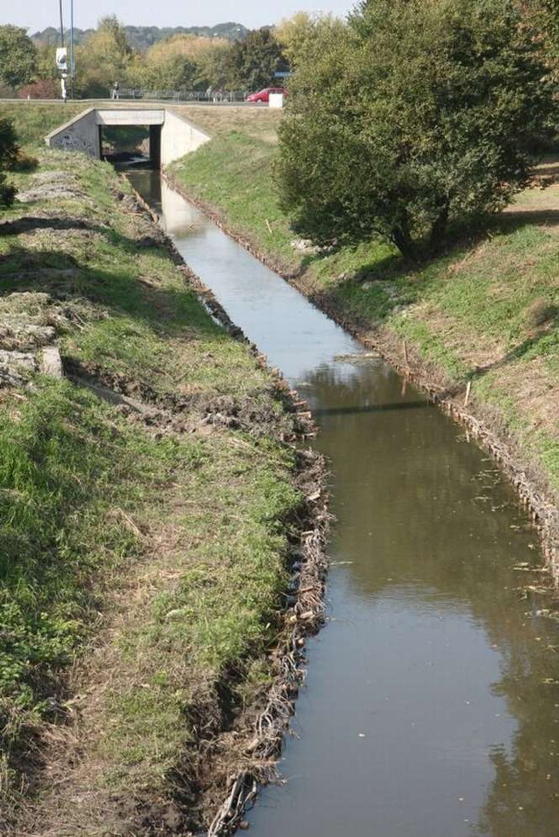 Lublin: Rzeka popłynie obwodnicą, bo obok będą stawiać Lidla