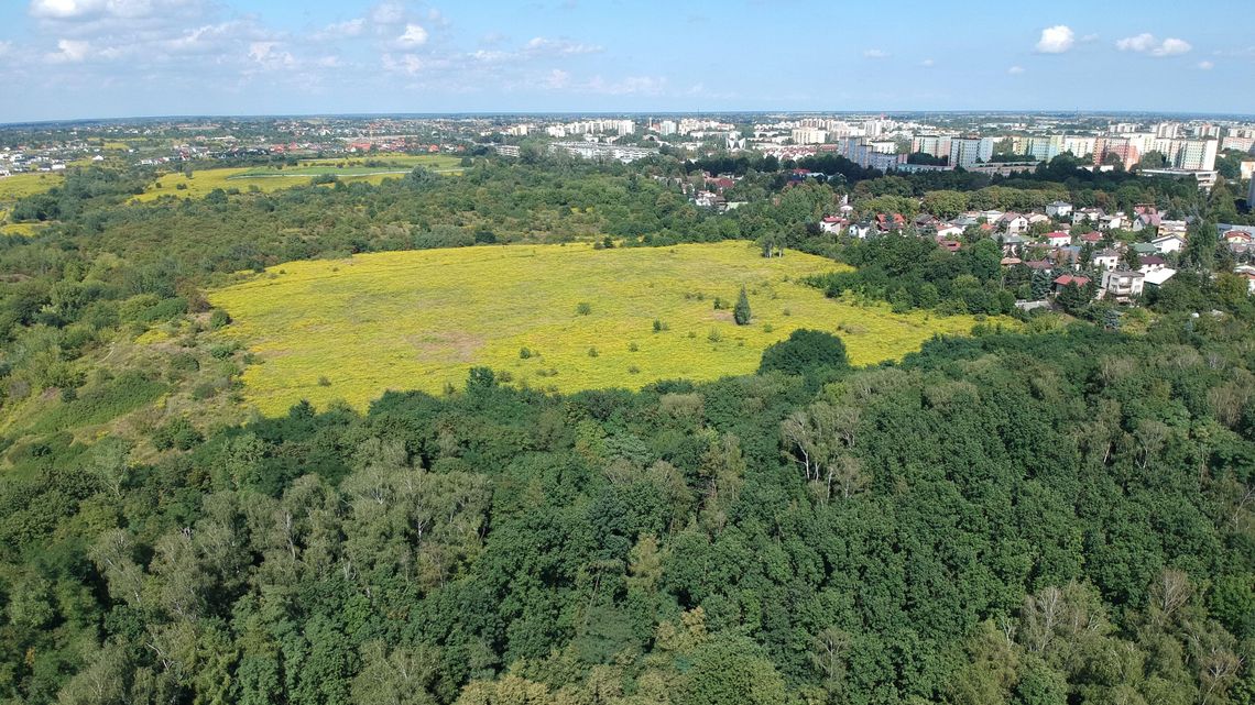 Lublin. Są postanowienia sądu w sprawie górek czechowskich
