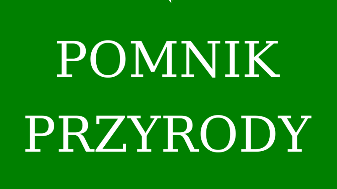 Lublin: Skreślają cztery pomniki przyrody
