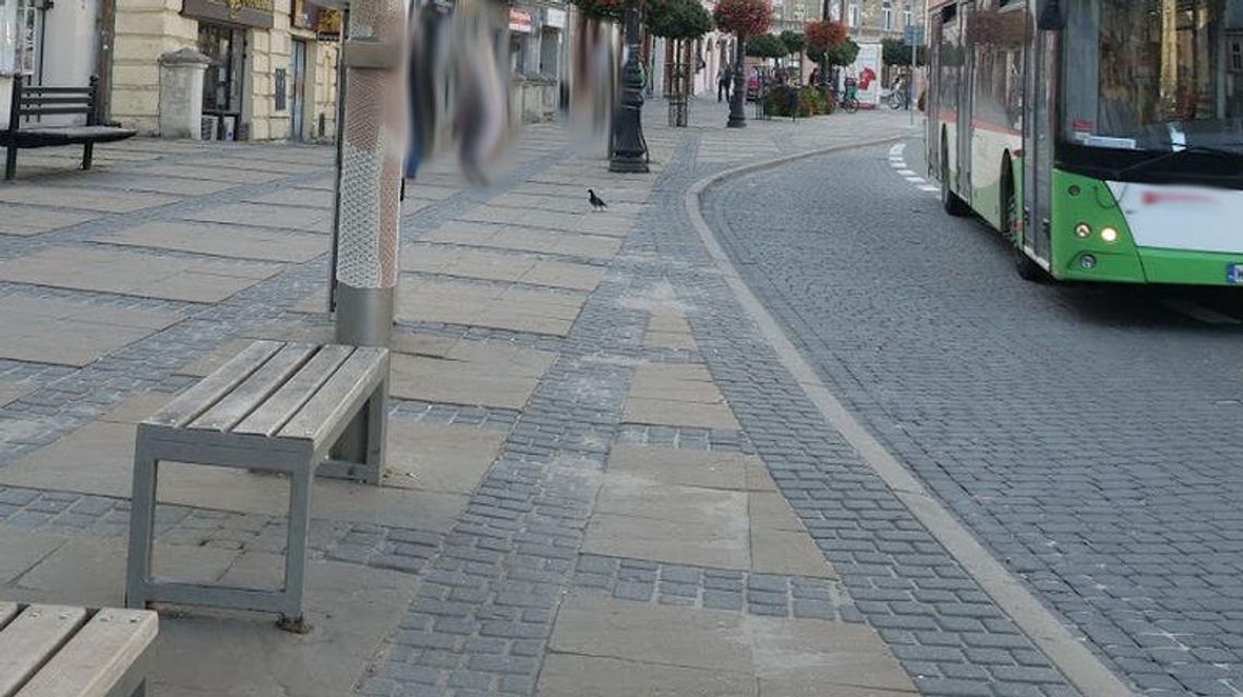 Lublin: Spadł z ławki, uderzył głową o chodnik. Stracił funkcje życiowe