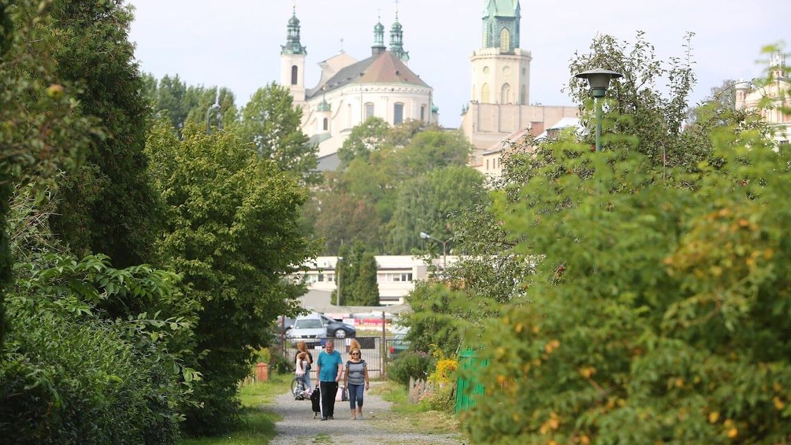 Lublin. Spore pieniądze dla ogrodów działkowych. Gdzie złożyć wniosek?