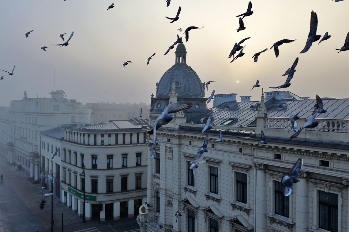 Lublin spowity mgłą. Zobacz jak magiczne jest miasto