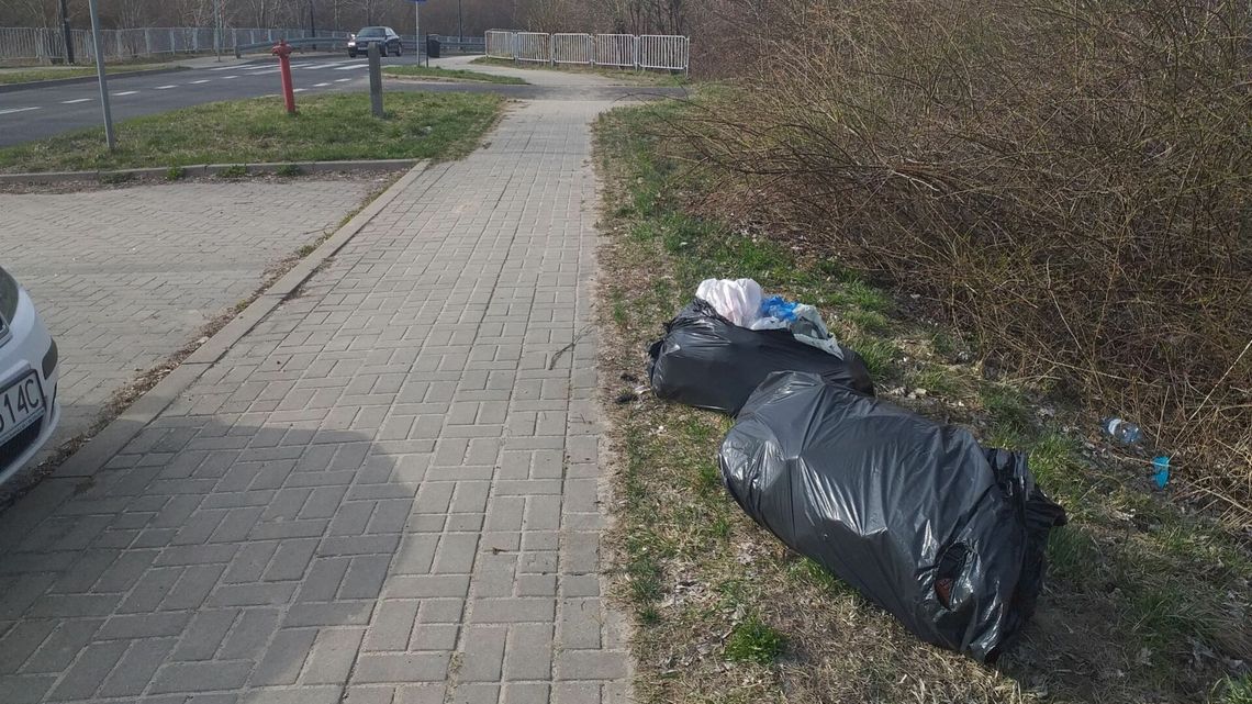 Lublin. Straż Miejska grzebała w śmieciach i dla jednego pana to nie jest dobra wiadomość